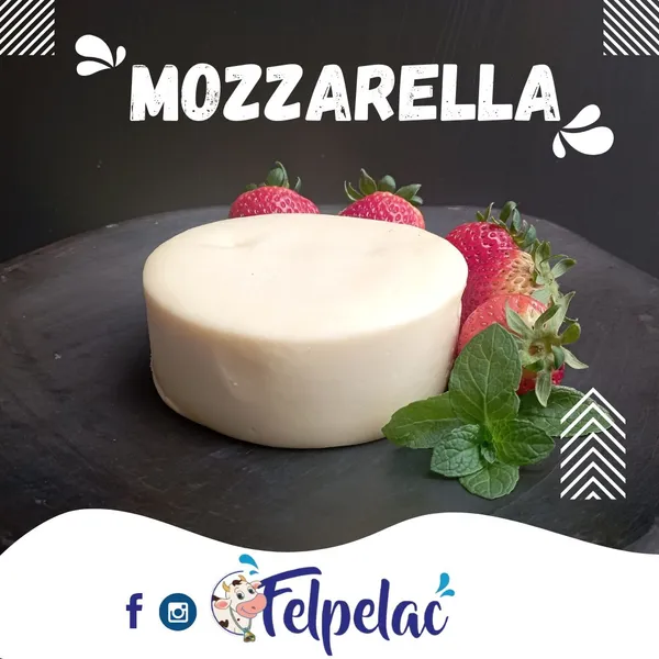imagen QUESOS MOZZARELLA